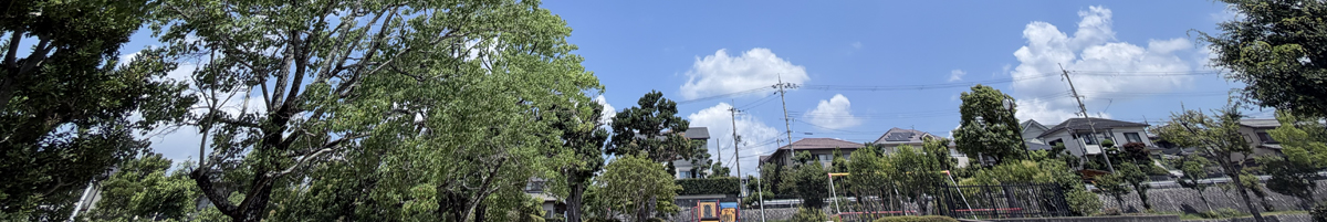 中央公園の夏