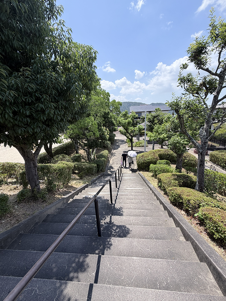 中央公園の階段
