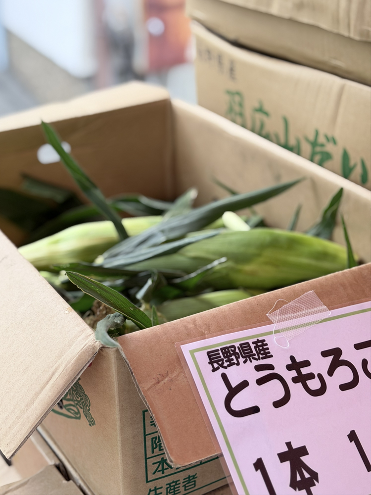 実のぎっしり詰まったとうもろこし