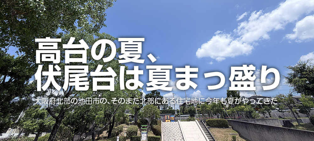 伏尾台の夏景色