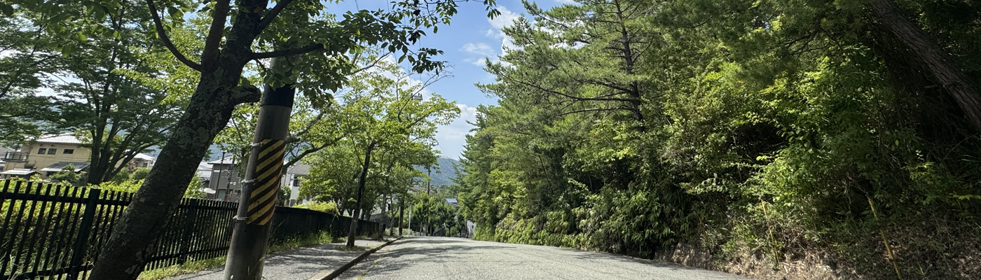 伏尾台1丁目の池
